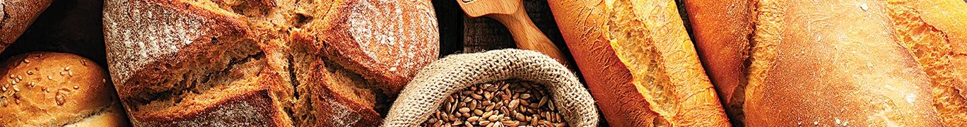 Rustic table with round and long breads, wheat grains in a scoop, and a burlap sack.